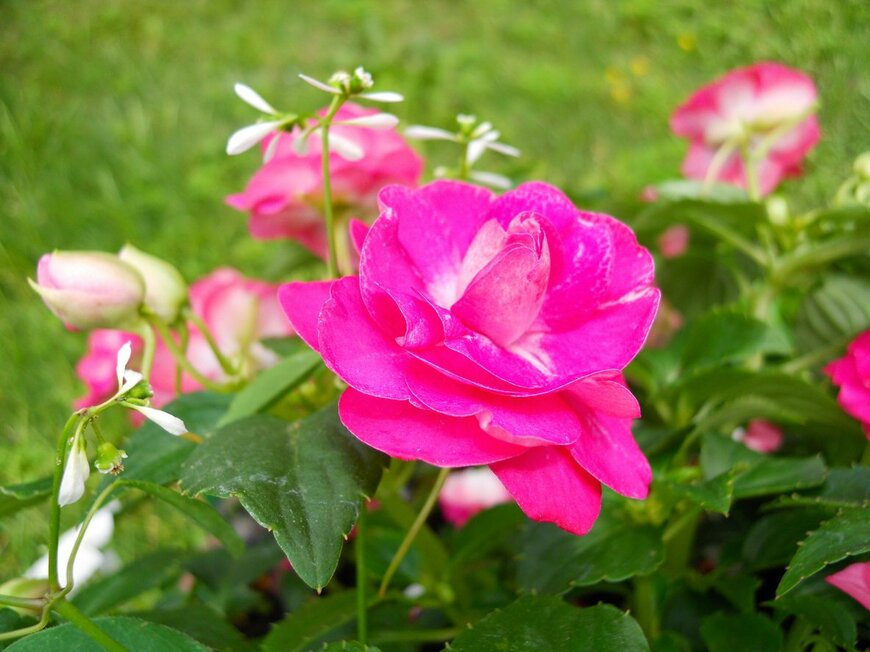 ranmaru_/istockphoto.com