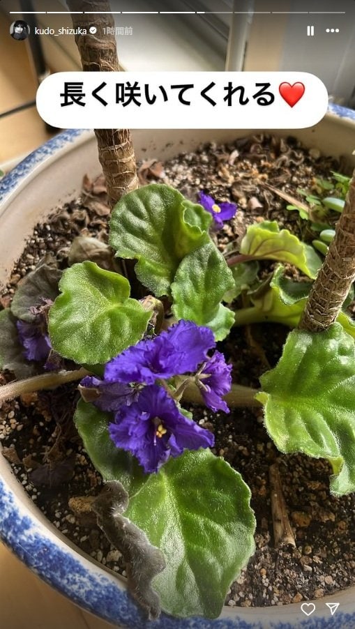 出所：工藤静香のInstagramストーリーズ（＠kudo_shizuka）参照日：2025年8月7日