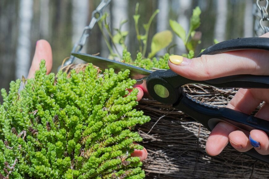 Vovantarakan/shutterstock.com