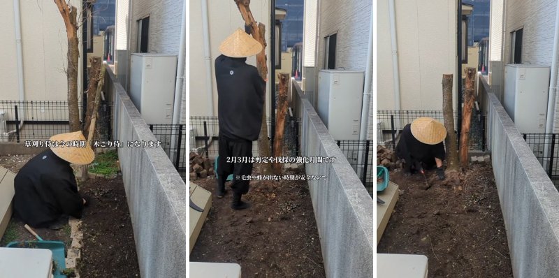 出所：@kusakari.zamurai