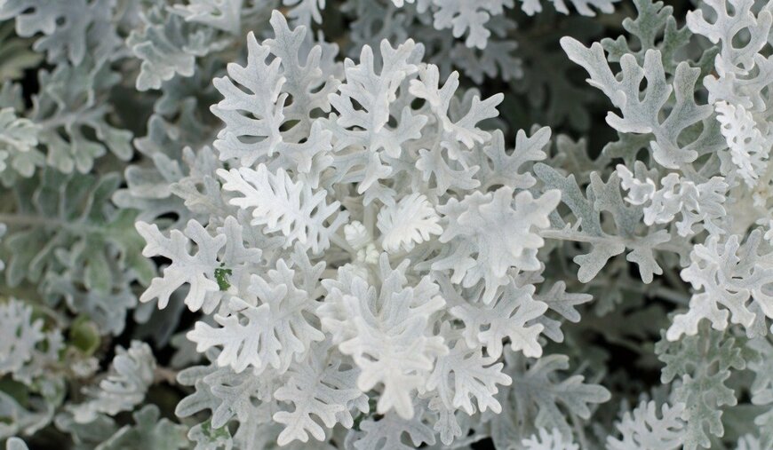 joloei/istockphoto.com