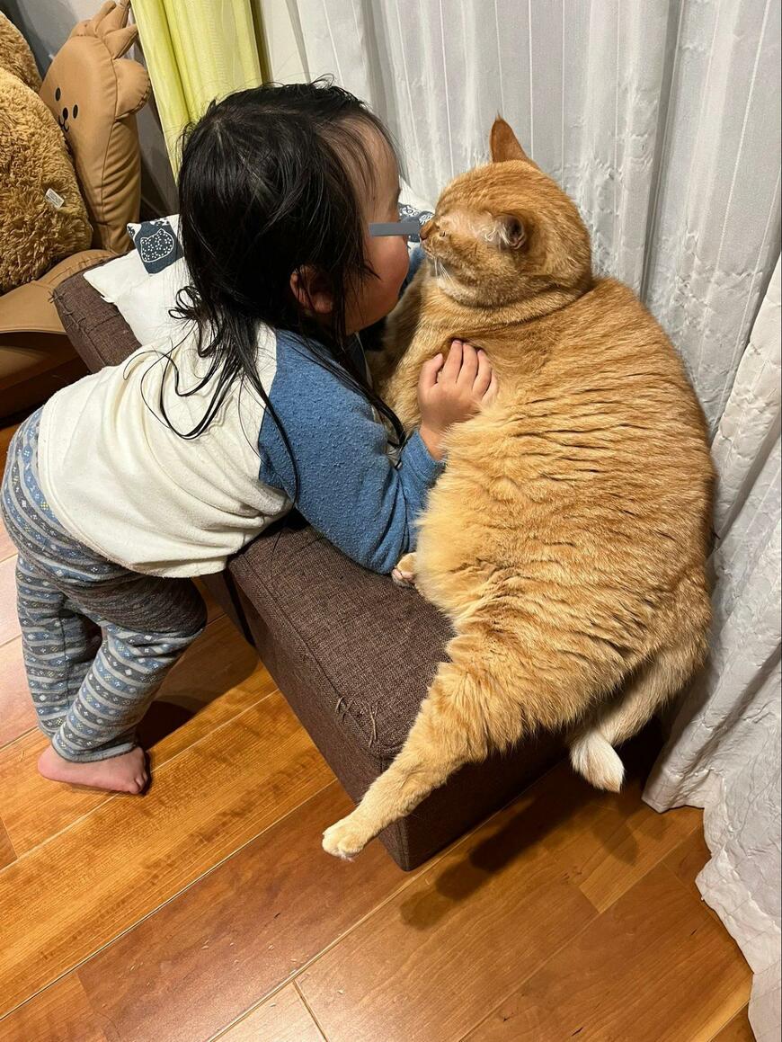 出所：@kagisuzu0531