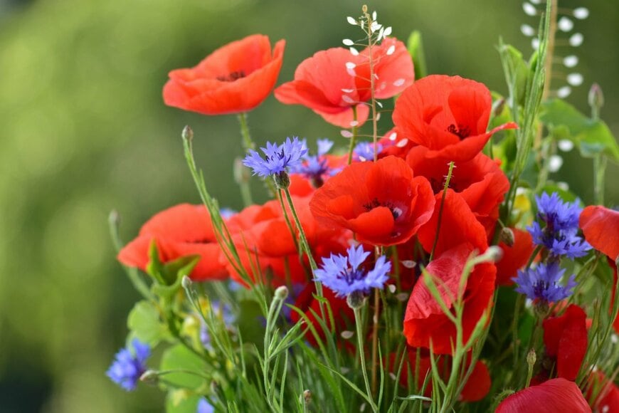 Blacky111/shutterstock.com