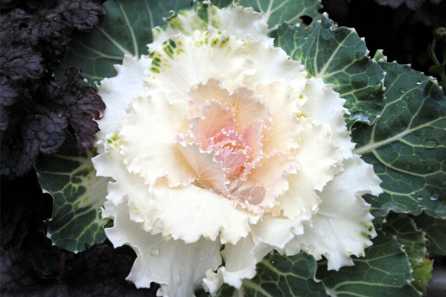 Sandra Dahl/istockphoto.com