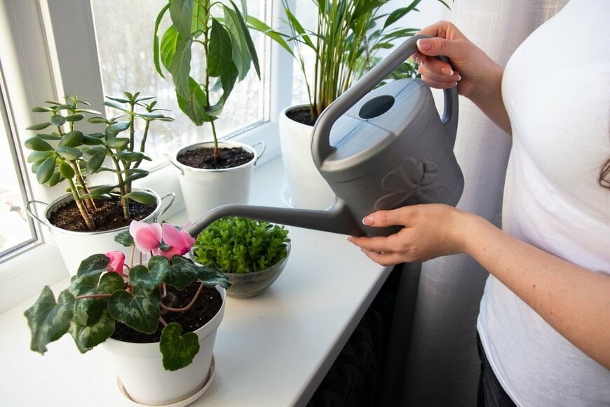 Natalia Hrynovets/Shuterstock.com