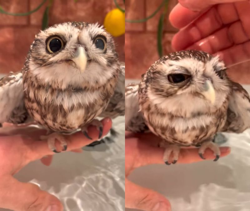 出所：@cr8673.hiro