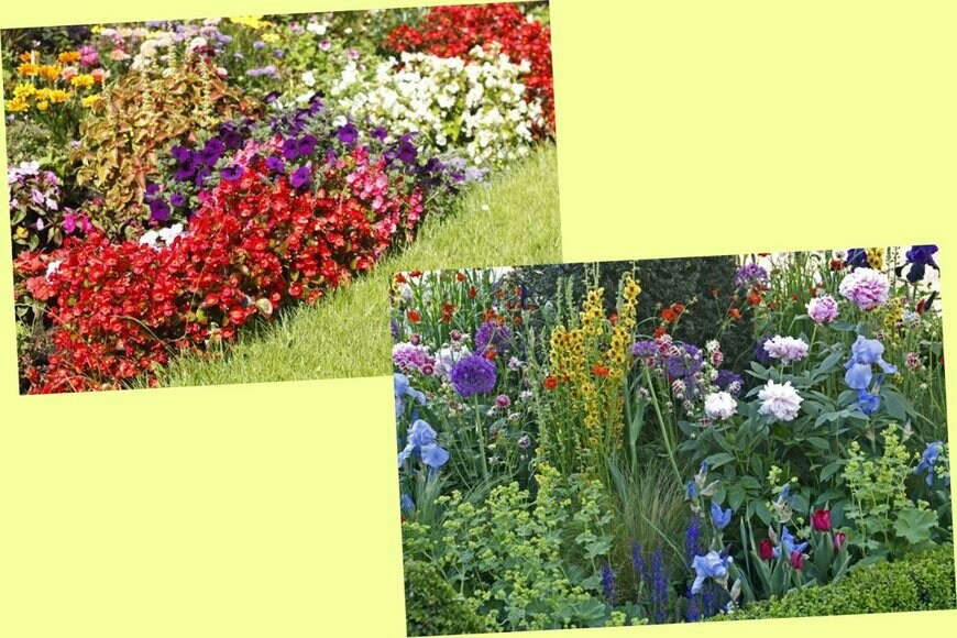 左　Detailfoto/shutterstock.com　　右　Gardens by Design/shutterstock.com