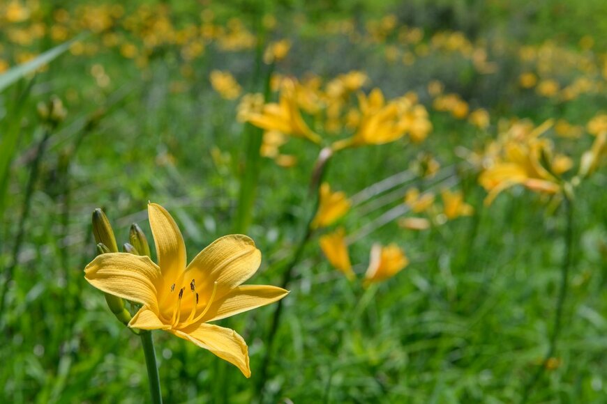 backpacking/Shutterstock.com