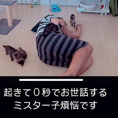パパと猫