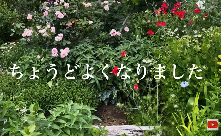 出所：<u><a href="https://www.youtube.com/watch?v=Gf6MHomjG4E&t=293s" target="_blank">@60歳からの幸せライフ</a></u>