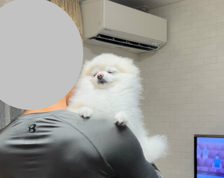 抱っこされている犬