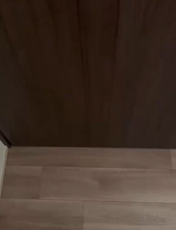 扉の向こうに猫