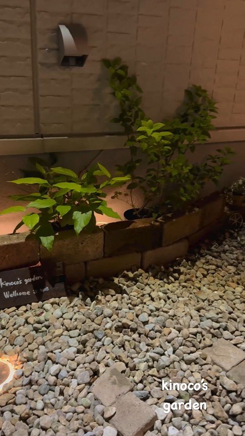 ソーラーライトが光っている夜の庭