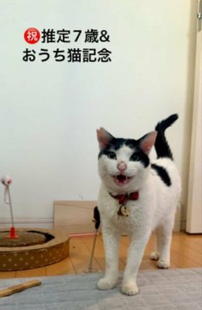 投稿の画像