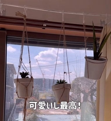 投稿の画像
