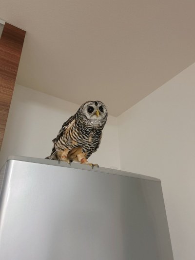 投稿写真のワンシーン