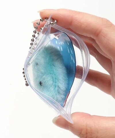 Bleu Bleuet、ポケットアクアリウム 商品画像
