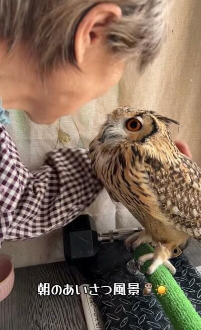 投稿動画のワンシーン