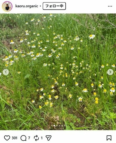杉田かおるのInstagram投稿