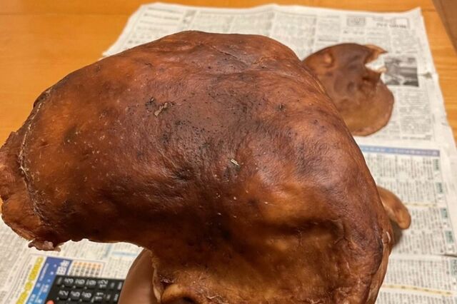 「何だこりゃ！」巨大椎茸を炒めると…　魚料理のような見た目に「椎茸には思えません」