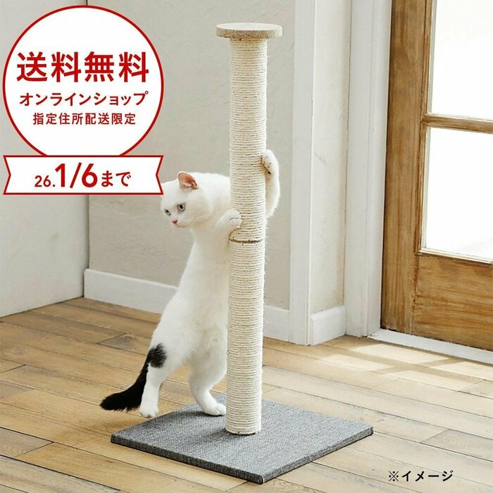 最大の魅力はその名の通り「ロング」なポール