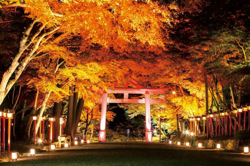 出所：株式会社ネイキッド「世界遺産・比叡山延暦寺の里坊「比叡山坂本」の街をネイキッドのアートと紅葉が彩る秋のナイトウォークイベント開催決定」（PR TIMES）