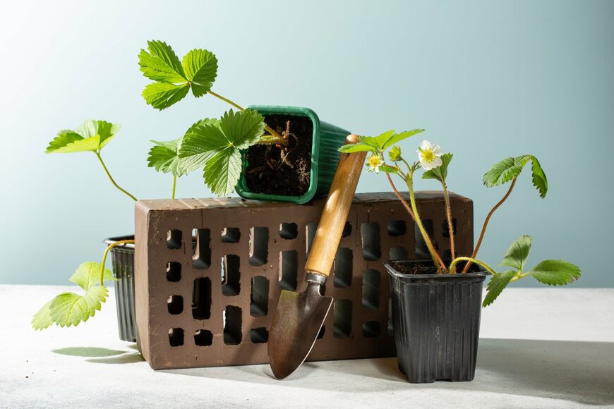 Geshas/shutterstock.com