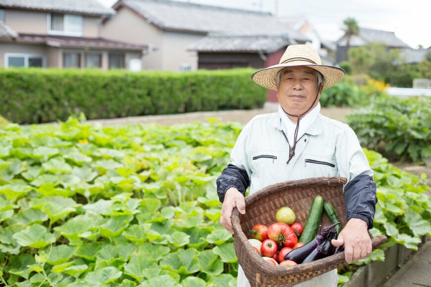 【値上がり月報】なすが1年前に比べて最も値上げされた都市は鹿児島市の+242円【総務省統計】