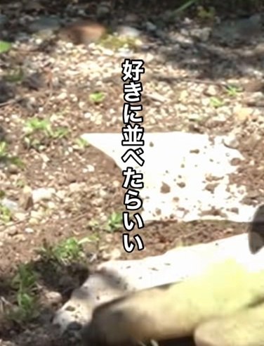 出所：＠ceracorey3