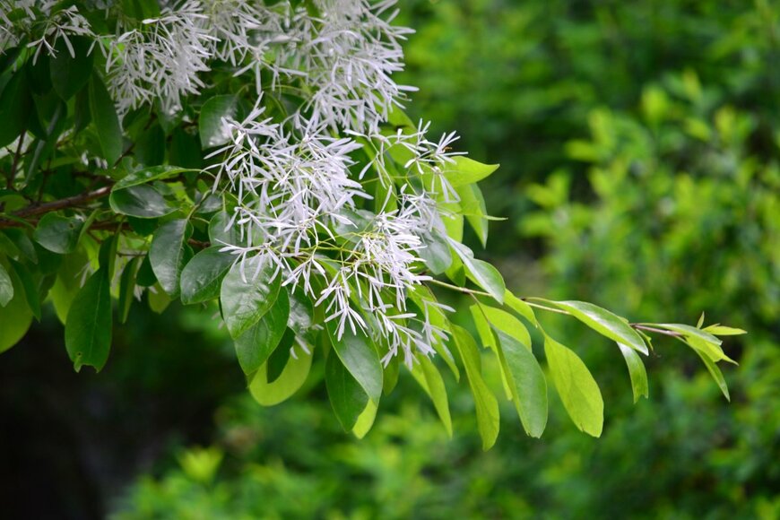 mssy/shutterstock.com