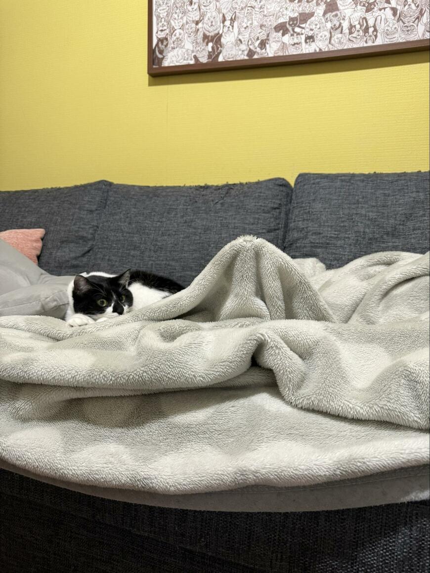 出所：@00shitemita