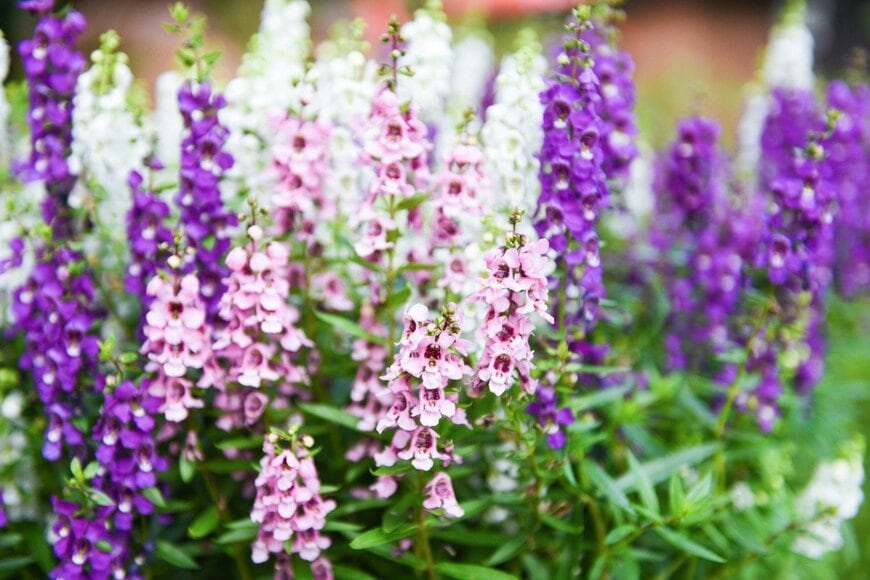 panida wijitpanya/istockphoto.com