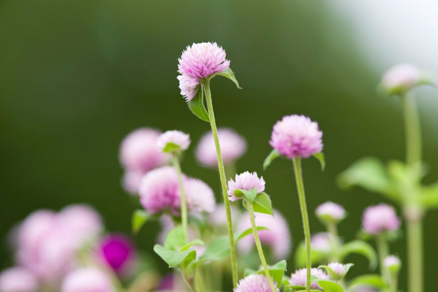 zzz555zzz/shutterstock.com