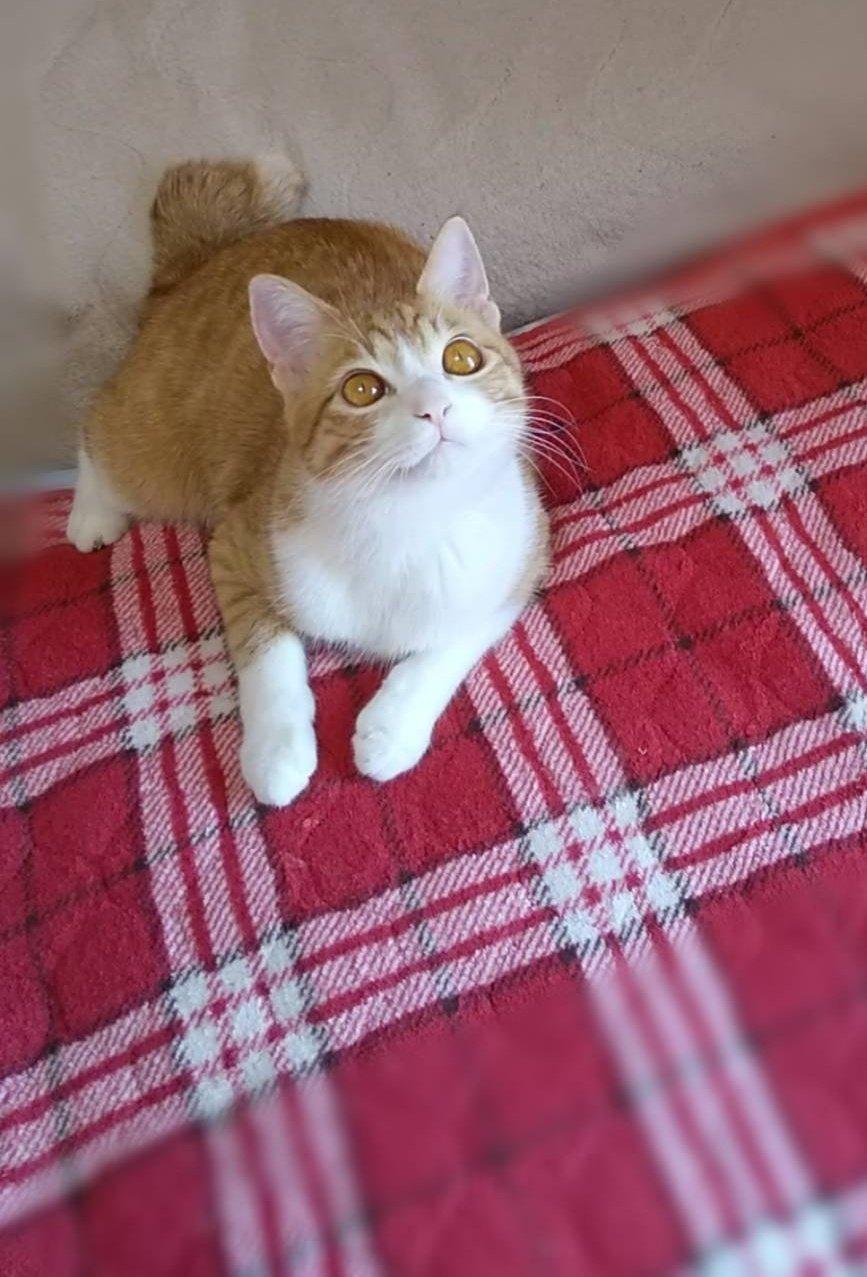 出所：@mero627puri914