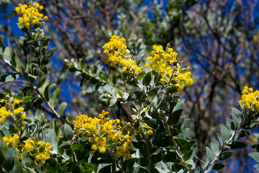 alybaba/Shutterstock.com