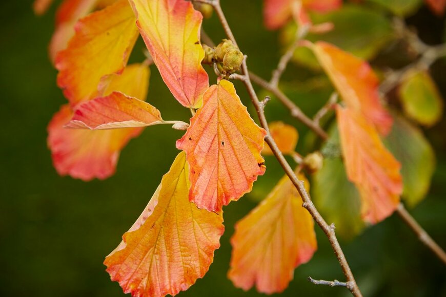 John C Evans/shutterstock.com