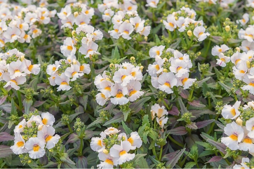 NataliaVo/istockphoto.com