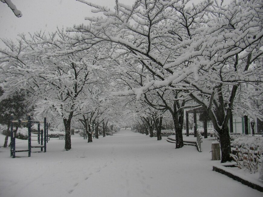 Yakou Shindai/shutterstock.com