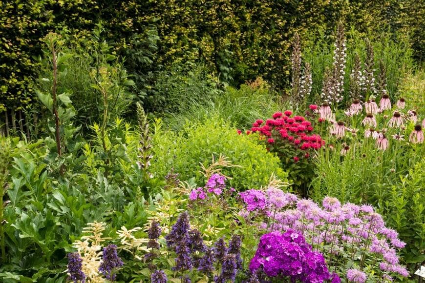 Wiert nieuman/shutterstock.com