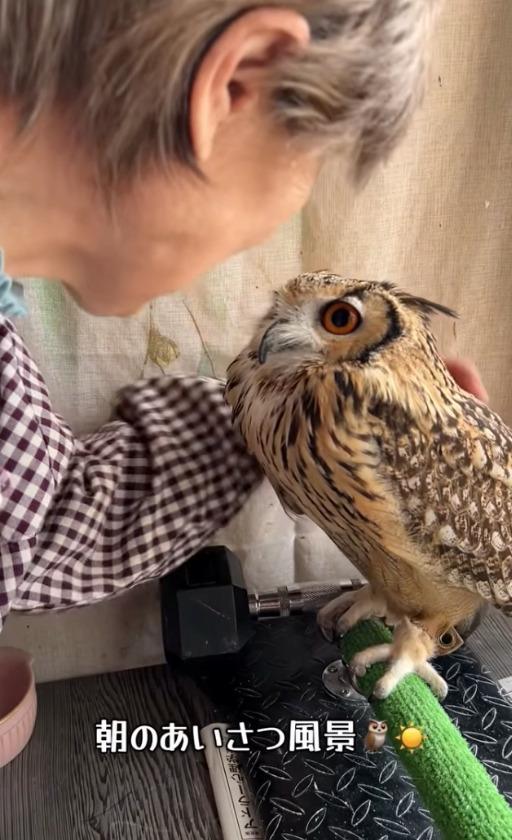 出所：@ba_chantolatte