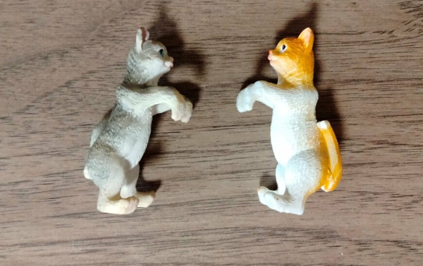 筆者撮影（ダイソー、縁にかけられるアニマル（猫））