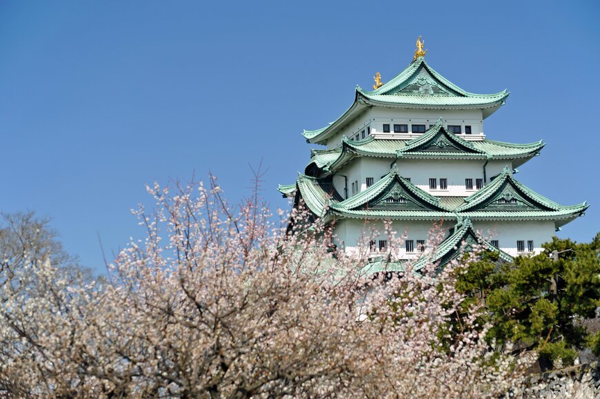 hayakato/shutterstock.com