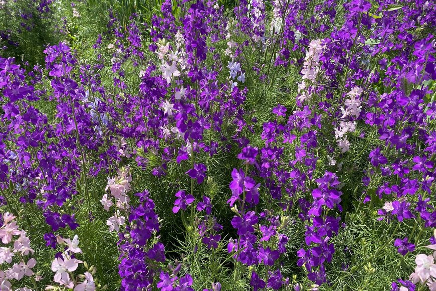 авторские/istockphoto.com 