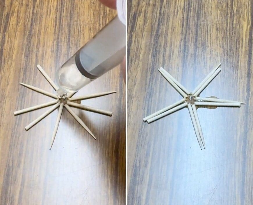 投稿の画像