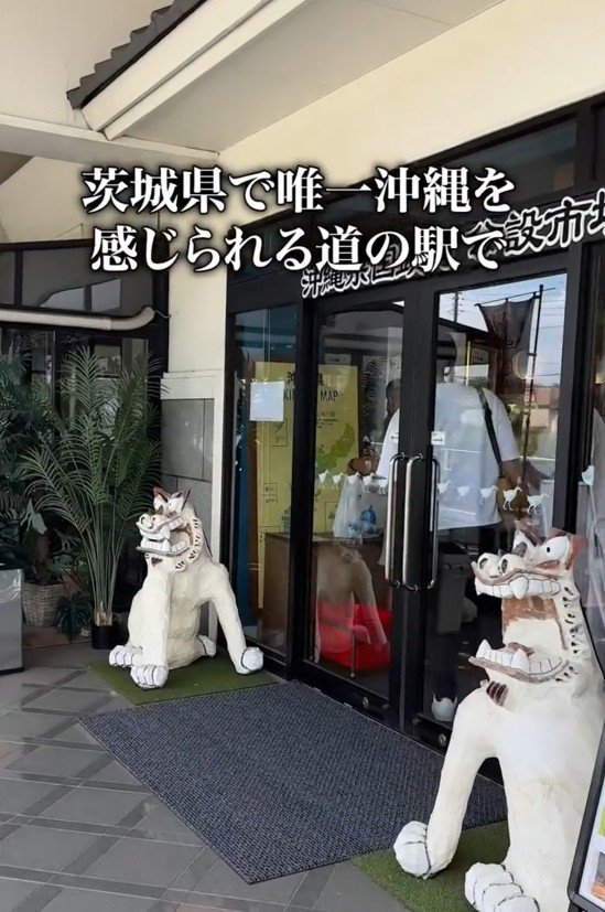 沖縄料理を食べられる茨城県の道の駅へ！