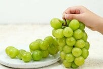 【次回の支給日は10月15日】「厚生年金と国民年金」年間240万円以上を受給する人の割合はどれくらい？