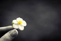 【遺族年金】夫に先立たれた妻はいくら減る？「受給要件」もチェック