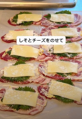 投稿動画のワンシーン