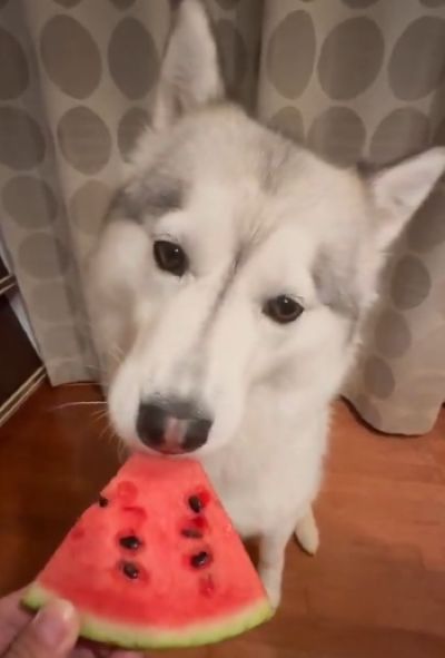 投稿動画のワンシーン