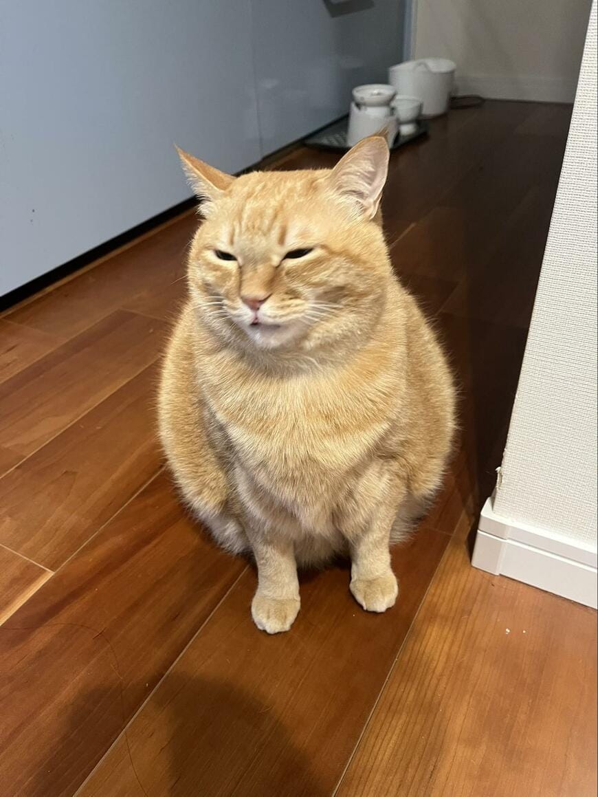 出所：@kagisuzu0531